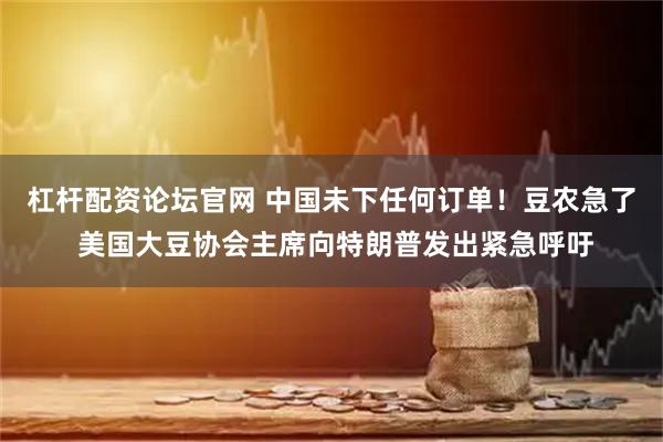 杠杆配资论坛官网 中国未下任何订单！豆农急了 美国大豆协会主席向特朗普发出紧急呼吁