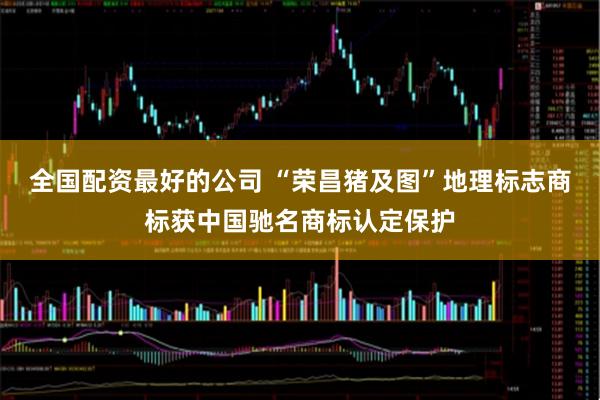 全国配资最好的公司 “荣昌猪及图”地理标志商标获中国驰名商标认定保护