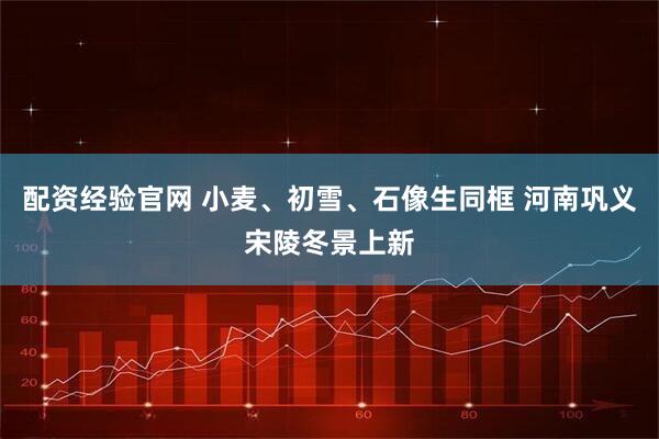 配资经验官网 小麦、初雪、石像生同框 河南巩义宋陵冬景上新