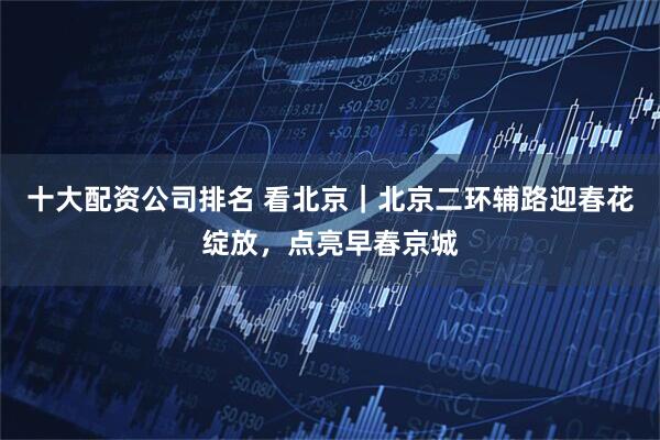 十大配资公司排名 看北京｜北京二环辅路迎春花绽放，点亮早春京城