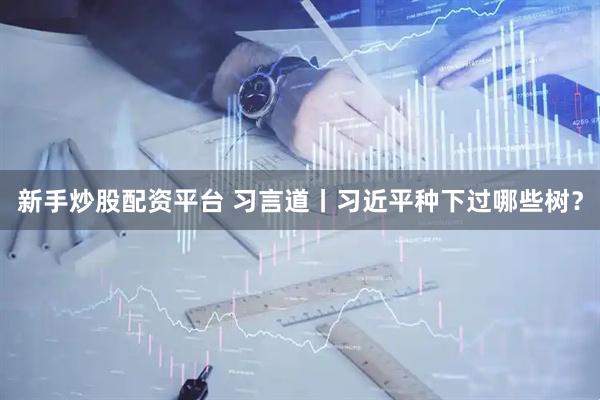新手炒股配资平台 习言道丨习近平种下过哪些树？